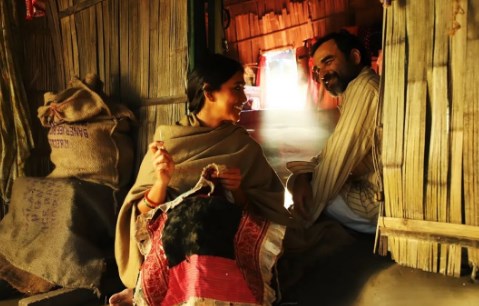 Pankaj Tripathi's Sherdil Movie OTT Release Date