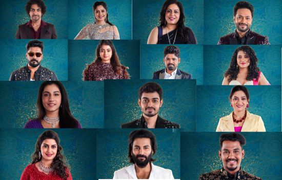 Bigg Boss 8 Telugu Contestants List with Photos